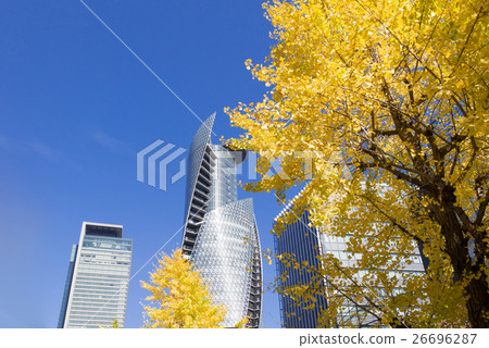 名古屋城市景觀名古屋車站前面Nichinomoto的銀杏樹行和螺旋塔 26696287