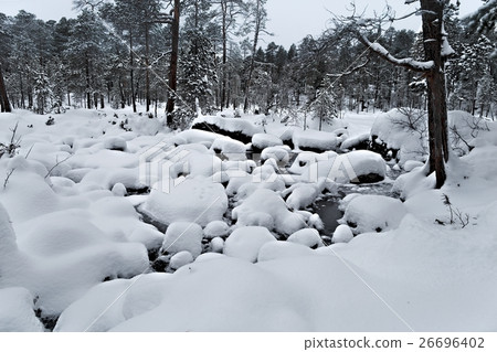 Winter Snowy Landscape Winter Snowy Landscape 26696402