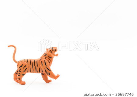 Tiger: tiger 26697746
