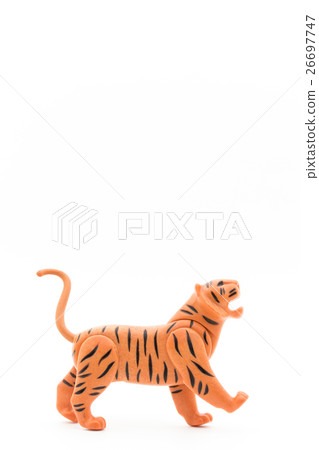 Tiger: tiger Tiger: tiger 26697747