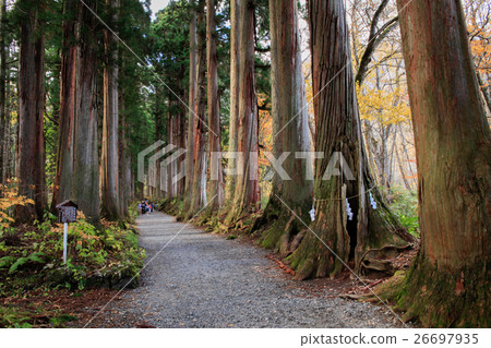 Togakushi Shrine Okusha approach Togakushi Shrine Okusha approach 26697935