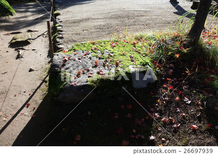 Zen Zen Shoso 26697939