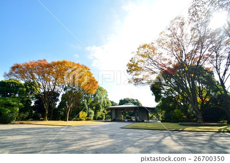 Chidorigafuchi戰死墓地 Chidorigafuchi戰死墓地 26700350