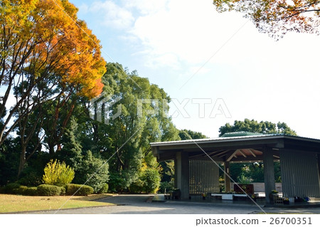 Chidorigafuchi戰死墓地 Chidorigafuchi戰死墓地 26700351