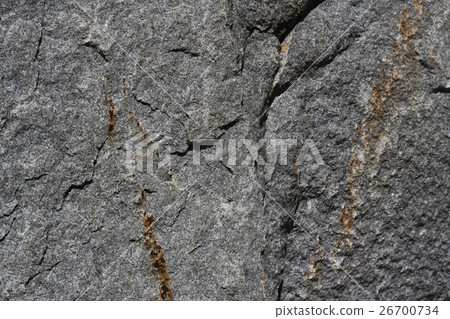 Rough rough skin Rough rough skin 26700734