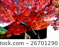 京都Nanzenji秋葉 26701290