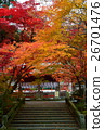 Kameoka Hoyama寺廟秋葉在京都 26701476