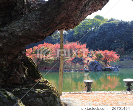 Special scenic spot "Rurin Park" South lake in late autumn (See the maple of autumn leaves from Negami Gorypo) 26701494
