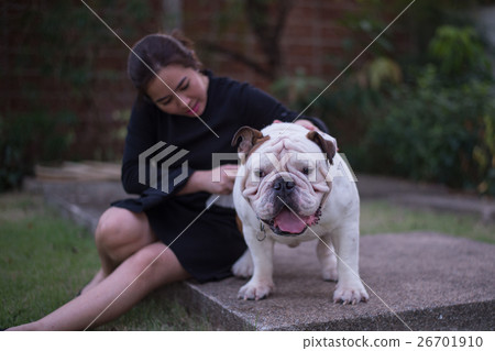A woman with English bullldog A woman with English bullldog 26701910