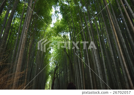 京都·嵐山竹林路 26702057