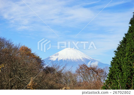 富士 富士 26702802