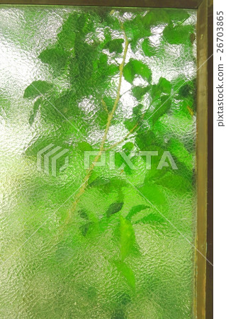 Window green Window green 26703865