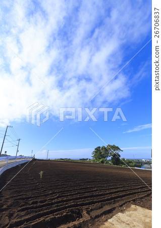 秋季天氣的領域 26706837