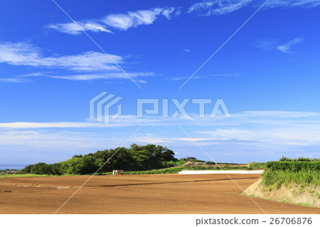Field of autumnal weather Field of autumnal weather 26706876