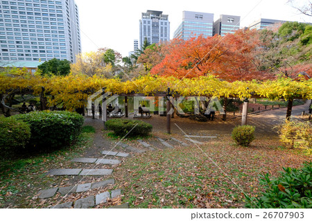 秋天的日比谷公園 26707903