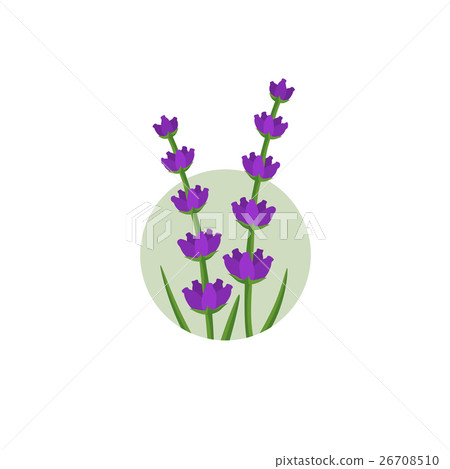Lavender logo 26708510