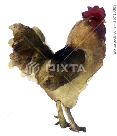 watercolor sketch of poultry on a white background 26710002