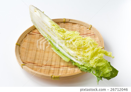 少量賣大白菜 少量賣大白菜 26712046