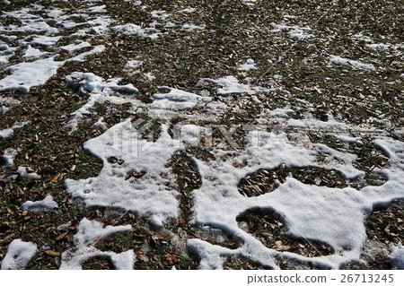 雪和草 26713245