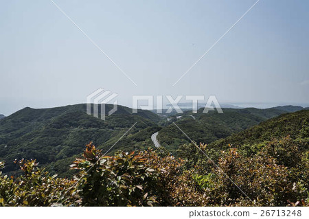 珍珠路 珍珠路 26713248