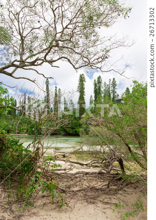 New Caledonia Ile des Pins New Caledonia Ile des Pins 26713302