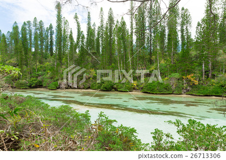 New Caledonia Ile des Pins New Caledonia Ile des Pins 26713306