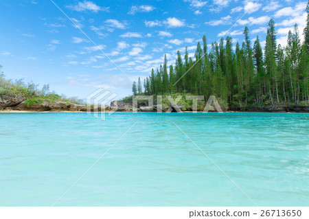 Pischenne Naturre (New Caledonia Ile des Pins) 26713650
