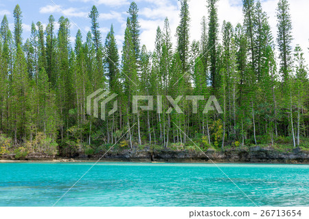 Pischenne Naturre (New Caledonia Ile des Pins) Pischenne Naturre (New Caledonia Ile des Pins) 26713654