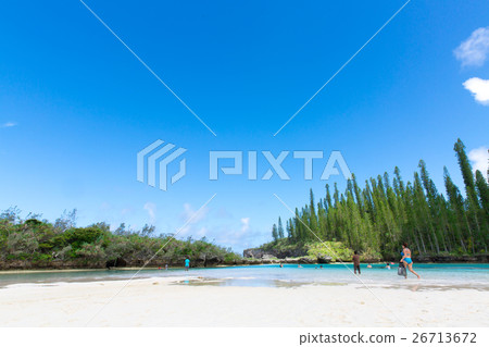 Pischenne Naturre (New Caledonia Ile des Pins) Pischenne Naturre (New Caledonia Ile des Pins) 26713672