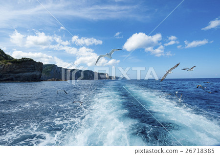 用Shakotan（+ Seagull）切割的巡航圖像 26718385
