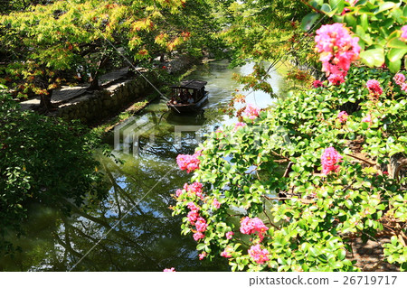 Explore Hachiman-dori 26719717