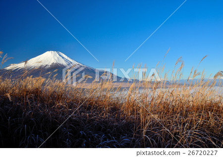 富士山和Susuki 富士山和Susuki 26720227