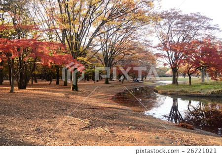 秋天海濱的風景 秋天海濱的風景 26721021