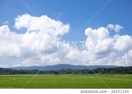 Summer countryside and sky 26721114