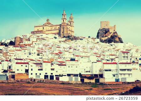 view of andalusian town. Olvera, province of Cadiz 26723359