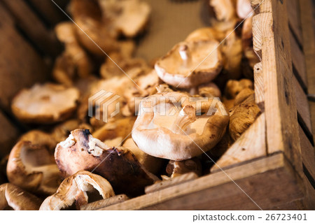 shiitake mushrooms store 26723401