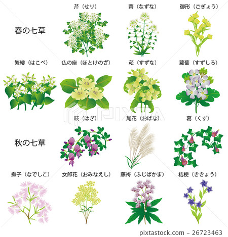 名字Nanakusa 26723463