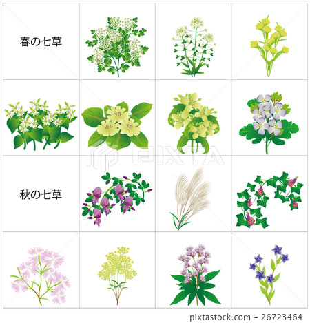 Seven Grass Frame 26723464