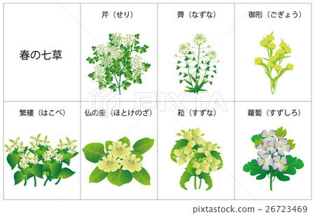 春天Nanashinoshin框架名稱 26723469