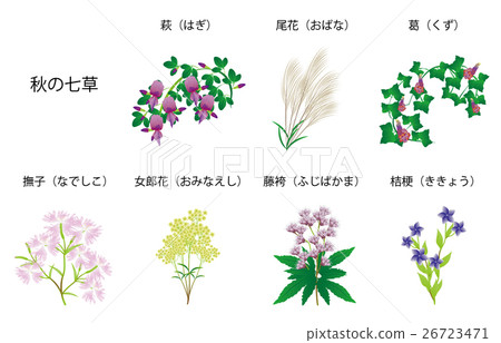 Name of the seven herbs of autumn 26723471