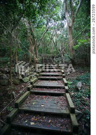 Minamiizu Tarai Cape Boardwalk Road Minamiizu Tarai Cape Boardwalk Road 26723599