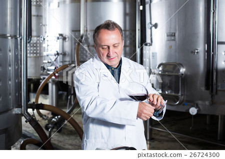 Wine maker controls quality of wine 26724300