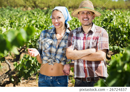 Gardeners standing among grapes trees 26724837