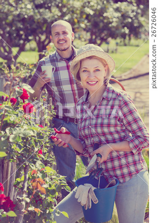 Positive engaged in gardening 26726046