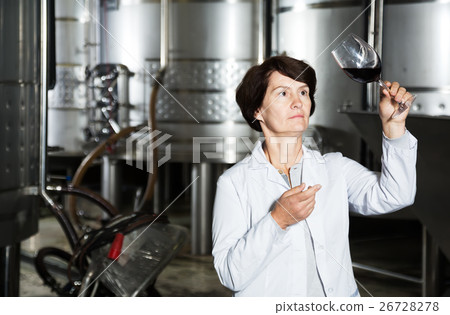 Sommelier woman on winery 26728278
