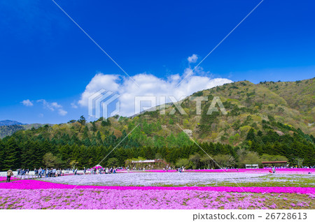 富士柴葉櫻花節 26728613