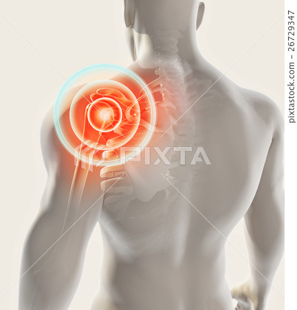 Shoulder painful skeleton x-ray, 3D illustration. Shoulder painful skeleton x-ray, 3D illustration. 26729347