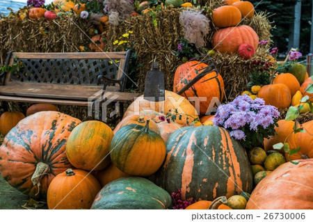 Autumn image Harvest image figure Figurine Halloween 26730006