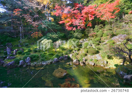 Chikurin吉 26730748