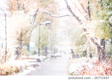 Autumn Snow fall fall. Autumn Snow fall fall. 26731687